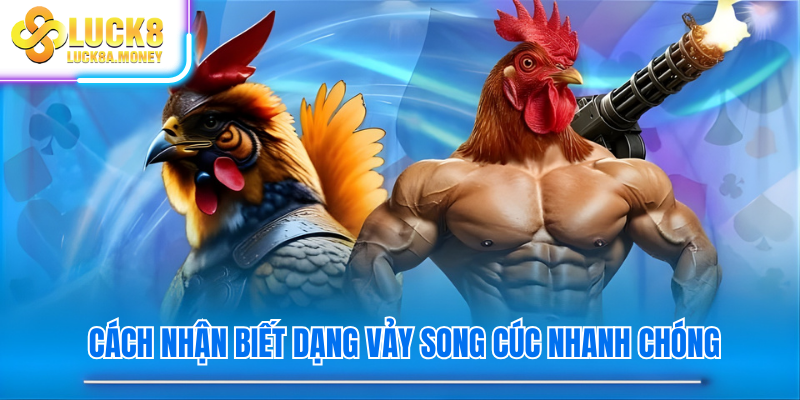 Cách nhận biết dạng vảy song cúc nhanh chóng